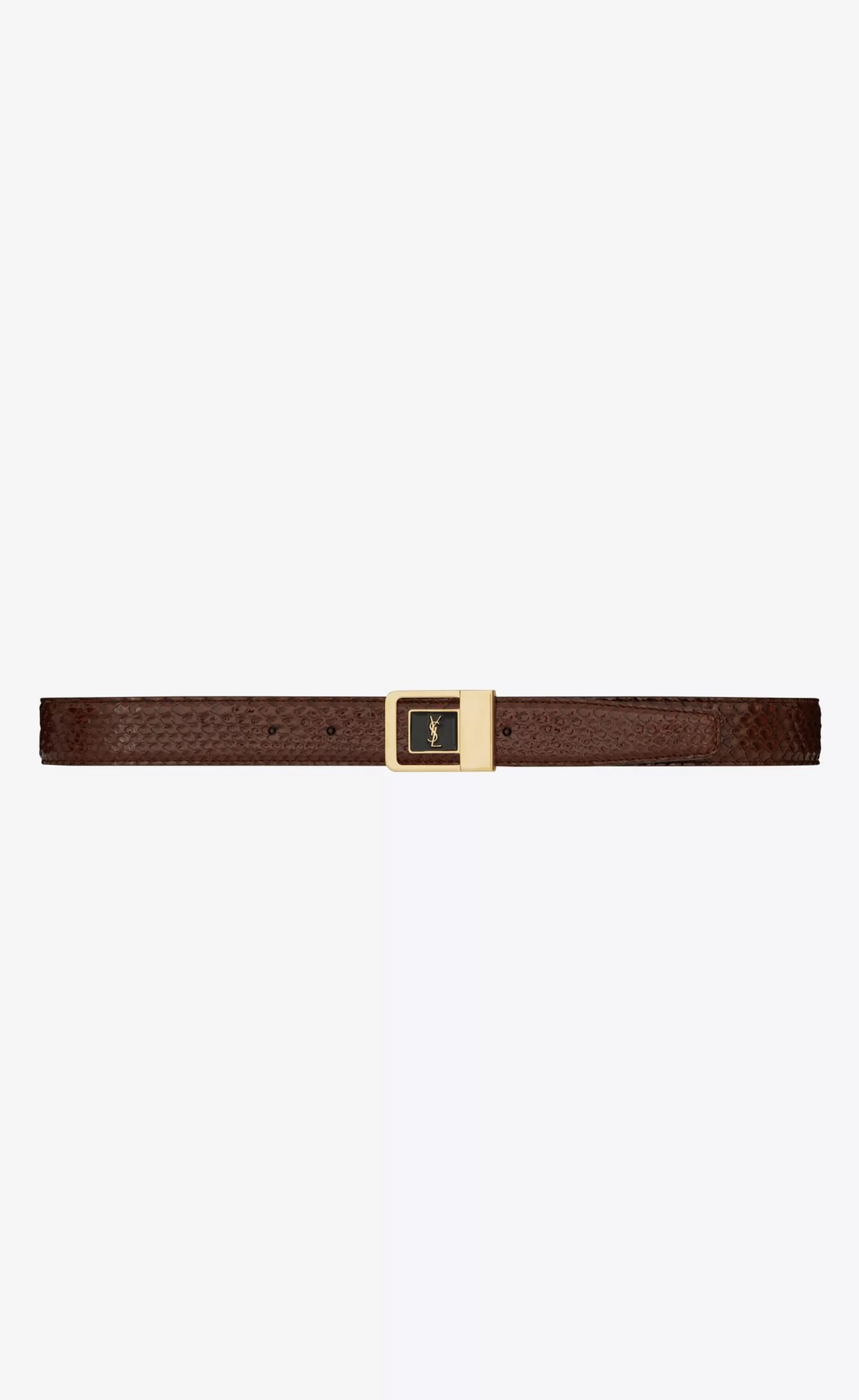 Women Saint Laurent BELTS^LA 66 Buckle Belt In Python | | YSL.com