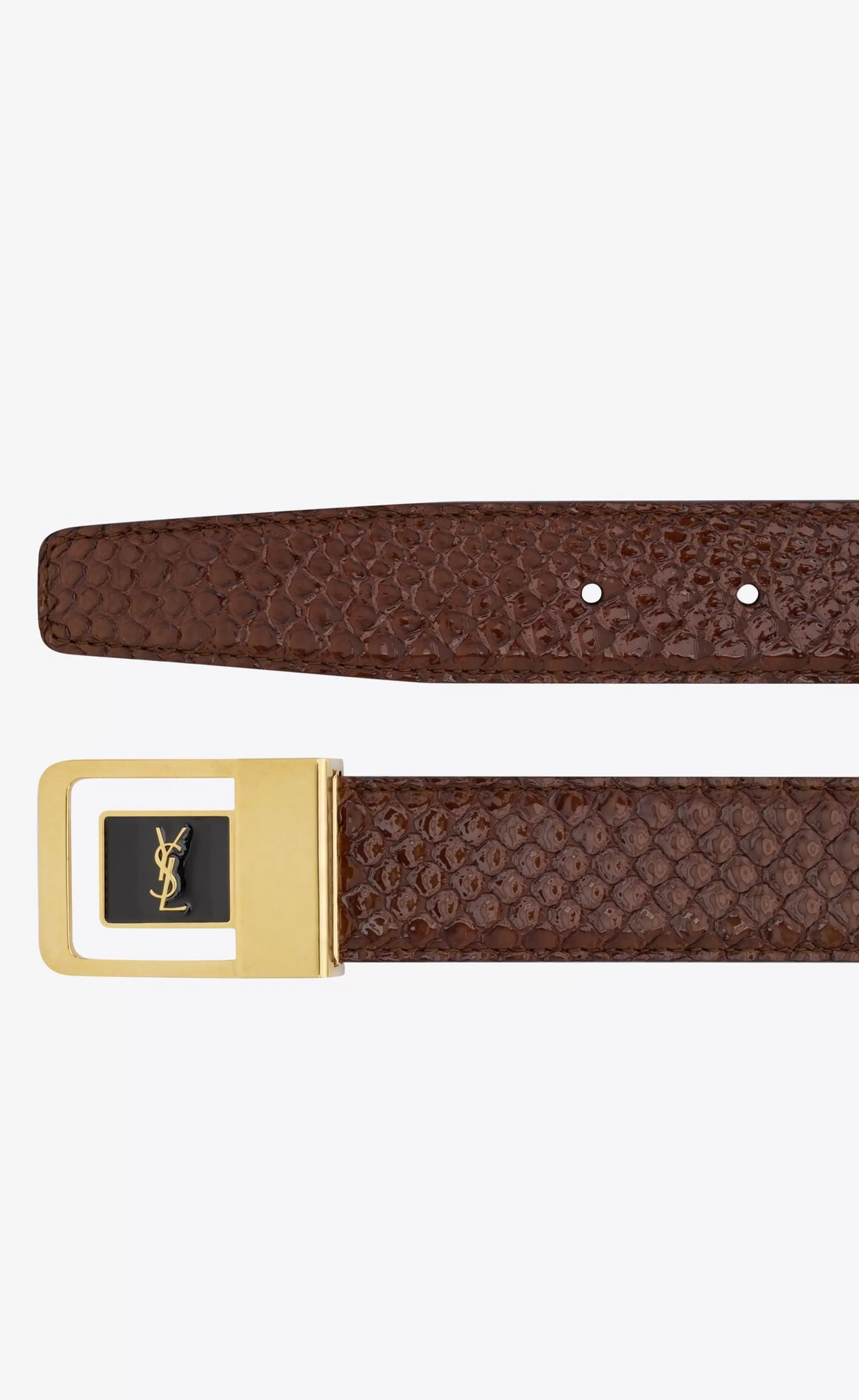 Women Saint Laurent BELTS^LA 66 Buckle Belt In Python | | YSL.com